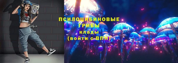 ГАЛЛЮЦИНОГЕННЫЕ ГРИБЫ Верхнеуральск
