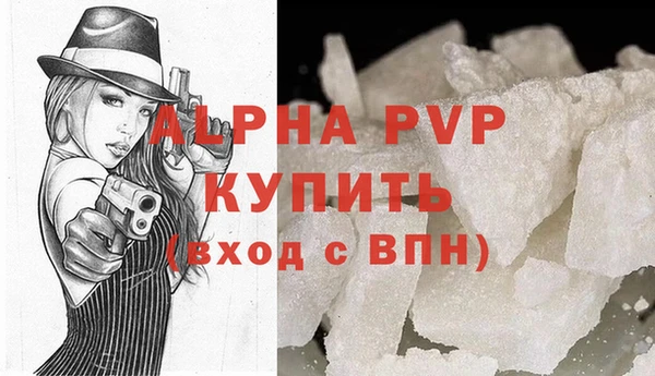 гашик Бородино