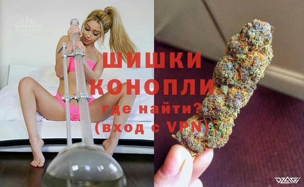 гашик Бородино
