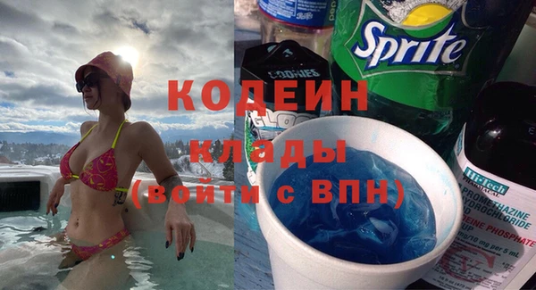 дживик Бронницы