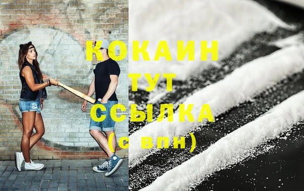 дживик Бронницы