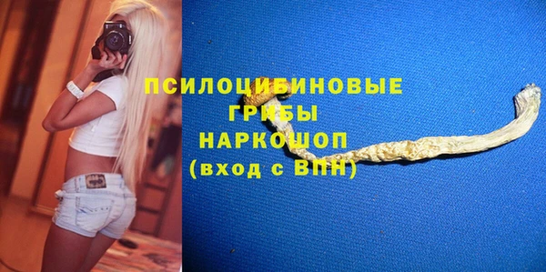 ГАЛЛЮЦИНОГЕННЫЕ ГРИБЫ Верхнеуральск