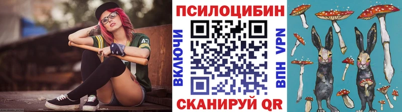 Галлюциногенные грибы мицелий  shop телеграм  Михайловск 